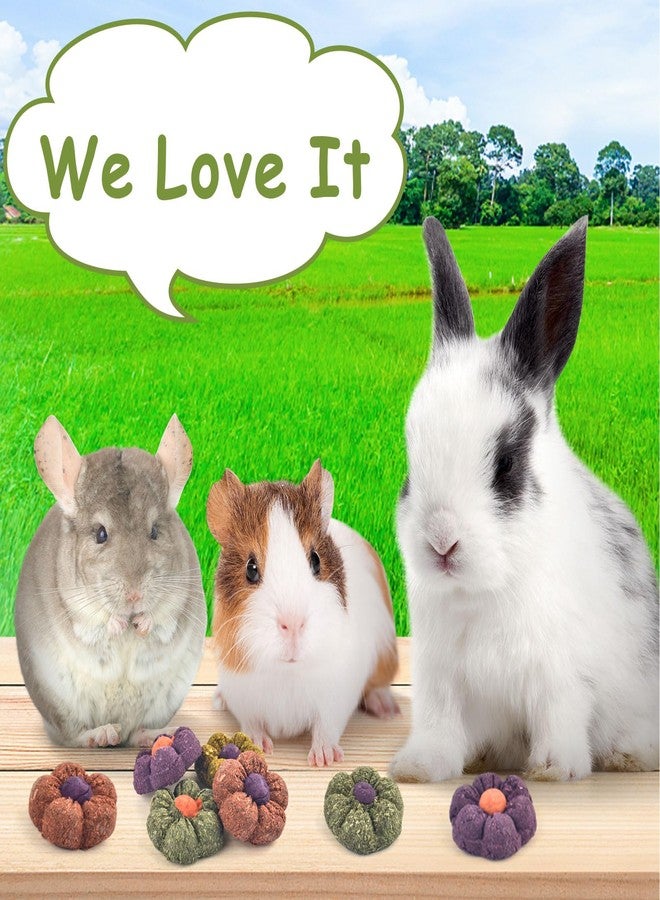 ERKOON Rabbit Chew Toys, 10PCS 1.77“ Timothy Grass Treats Small Animal Molar Toys for Guinea Pig Hamster Bunny Chinchilla Gerbil, Handmade Rabbit Chews and Treats - Image 4
